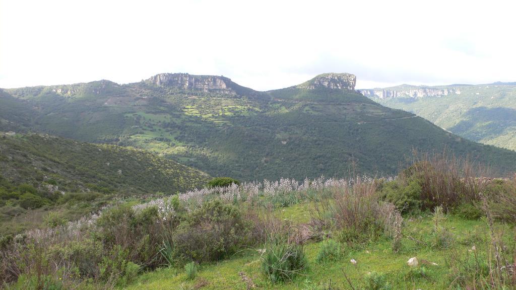 Agriturismo Ticci Seulo Luaran gambar