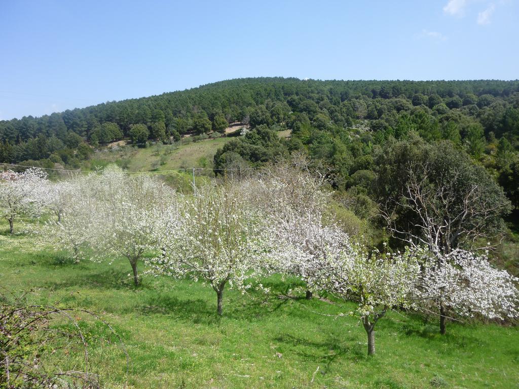 Agriturismo Ticci Seulo Luaran gambar